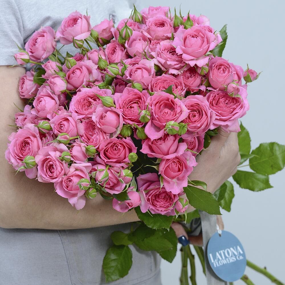 Bouquet with Pink Spray Roses