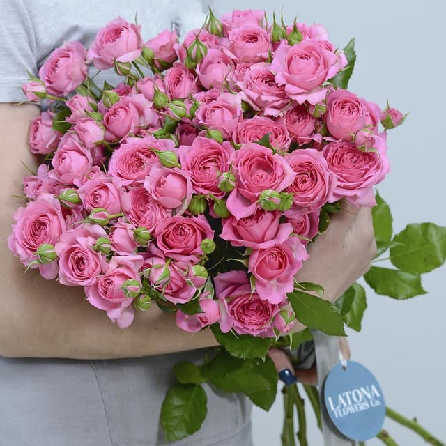 Bouquet with Pink Spray Roses